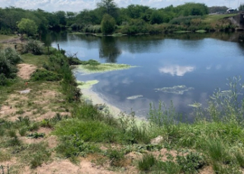Río Luján 