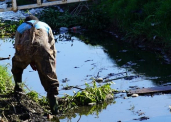 Gestión Ambiental 
