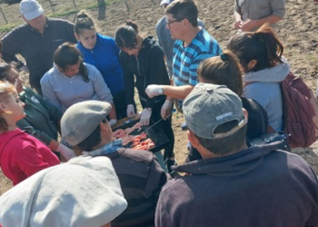 Capacitación en inseminación artificial bovina para trabajadores rurales