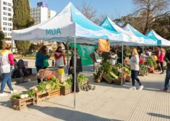 Vínculo con Formosa