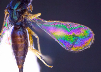 Arte y ciencia