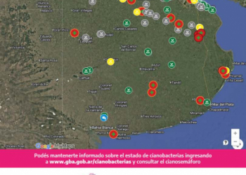  Aumentan las alertas por  cianobacterias en la Provincia