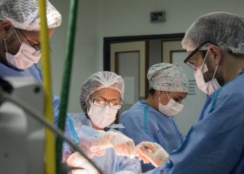 Procuración de órganos