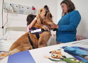 Los animales se convierten en puentes que alivian, conectan y acompañan