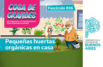 en la imagen se observa la portada del fascículo 36