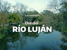 Día del Río Luján 