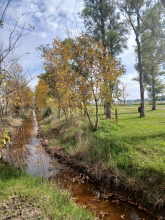 Paseo Ribereño Arroyo Los Leones. Suipacha.