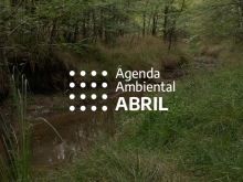 AMBIENTE. 