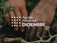 AMBIENTE. 