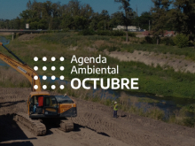 AMBIENTE. 