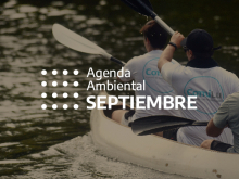 AMBIENTE. 