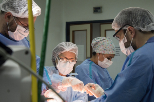 Procuración de órganos