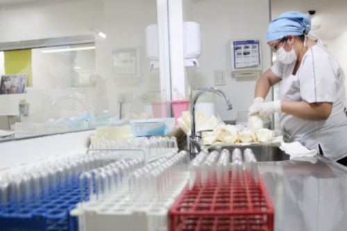que trabajan con la Red de Donación de Leche Humana 