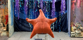 Vidas Submarinas
