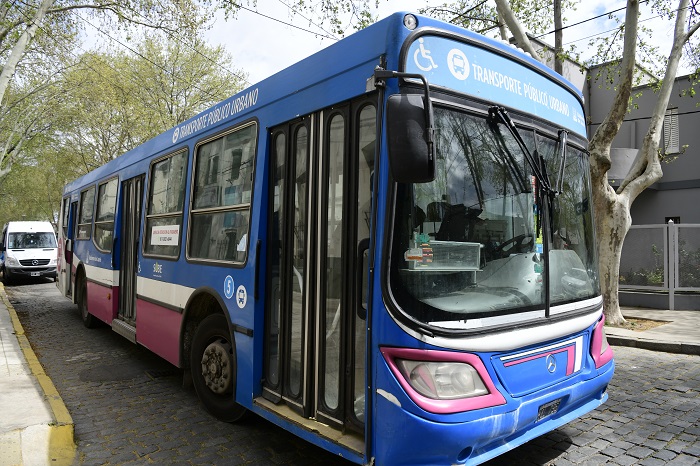 El transporte automotor y el fluvial se encuentran alcanzados por la decisión.