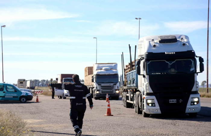 En 2024, se retiraron más de 777 toneladas ilegales de las rutas bonaerenses.