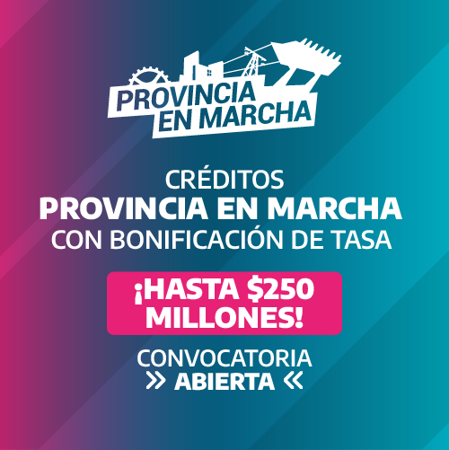 Provincia en marcha